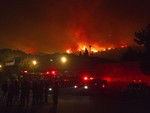 В Израиле жителей эвакуируют из-за лесных пожаров